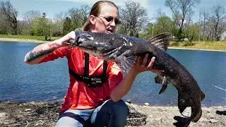 Spring Bank Fishing for Big Catfish with Cut Bait | Flathead Catfish | Blue Catfish