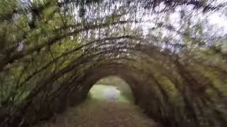 parkrun Routes: Penallta parkrun in 2mins! (Hyperlapse)