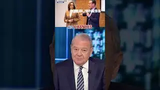Stuart Varney: Identity politics has killed Walz's career #shorts #varney #walz #minnesota #fraud