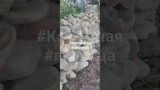 #Каменная #граница#PersonalVlog#DenisShestakov , #группа и #канал в #ТГ и соцсетях