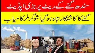 Big news on certificate sugarcane rate 2025-26| Today new update on sugarcane rate pakistan