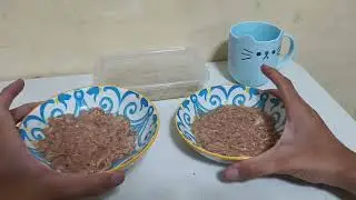Let's Prepare my Babies' Lunch 💖KitCat Petite Pouch & KitCat Complete Cuisine