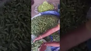 wholesale bindi market/Sikander rajput 1