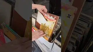 200 Records for $10 at a Yard Sale!?