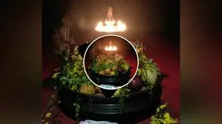 Vishu whatsapp status video