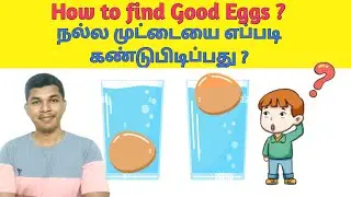 How to find good eggs ? Why rotten eggs float in water ? TAMIL SOLVER