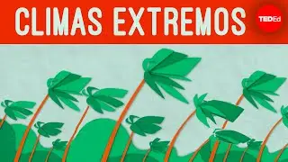 ¿Realmente el tiempo se está volviendo más extremo? - R. Saravanan
