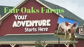 Fair Oaks Farms Review