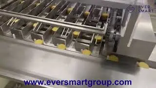 EverSmart Potato Crisp Feeding Machine