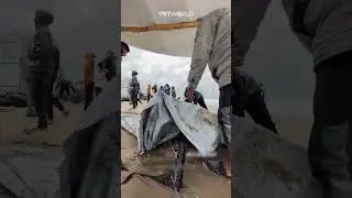 Heavy winter rains and winds damage tents across Palestine's Gaza