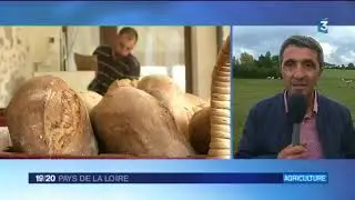 &Eacute;leveurs laitiers qui transforment leur lait