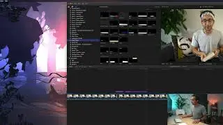 17   basic titles