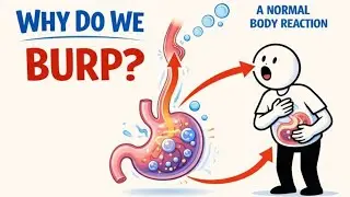 Why do we Burp?