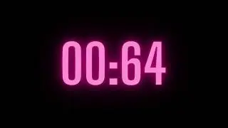 102 Second Timer with Alarm