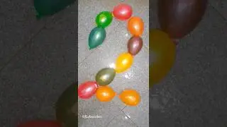 Rainbow Mini Balloons Popping Video Asmr #balloon