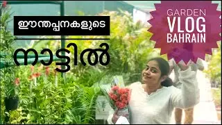 A Journey to the palm grove|Bahrain garden|#vlog |#bahrain #happy #nature #trip #@ammu1997-v6y 