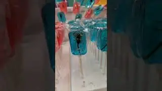 Insect Lollipop
