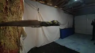 Relaxing bo shuriken & knife throwing practice. Instinctive nospin with variations, icepick grip etc