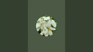 SUNSHINE GARDEN is live!