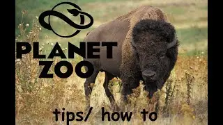 How to adopt American Bison / create cage | Planet zoo