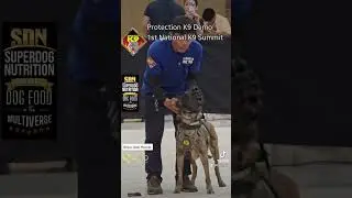 PROTECTION K9 DEMO - MANALO K9 - 1ST NATIONAL K9 SUMMIT