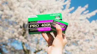 Shooting Fujifilm Pro 400H With The Cherry Blossoms (35mm & 120 Film)