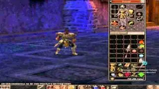 Metin2 Partisane auf +9