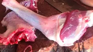 Fresh and fleshy goat meat 🍖 cutting video by expert left handed sujon Vai 