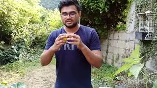 Fruits Harvesting in Italy | ইতালিতে- Apple, Grape, Peach, olive and Blackberry গাছ দেখতে কেমন?