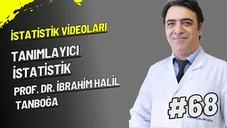 Tanımlayıcı İstatistik