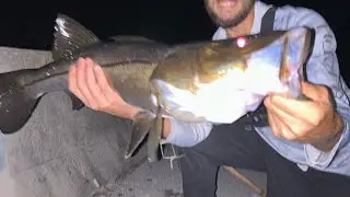 Winter Grind EP. 2 &ldquo;DOA Snook&rdquo; (The Bridges)