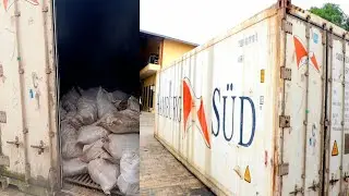 Nigeria Customs Service Seized 10,603 Donkey Genitals, Rescued Over 200,020 Live Animals in 6 Months