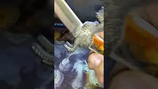#Fantasy #Dragon #Dagger #Knives