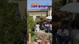 테마여행-그것이 알고싶다??!!  #꼭 가봐야할 국내 여행지 고성라벤다축제 #제임스한가이드