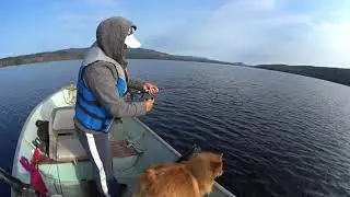 15lb Char ( Lake Trout ) Caught At Babine Lake