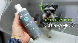 For All DogKind dog shampoo review - Spa experience for dogs!