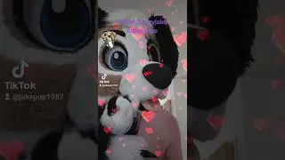 I kown love be hard to find  but I believe in you friends