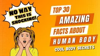 Crazy Facts about the Human Body for Kids | Human Body Facts For Kids | Human Body Organs |