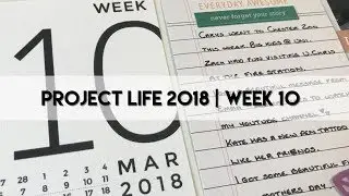 Project Life 2018 - Week 10 | Citrus Twist Kit