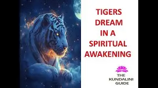 TIGER DREAMS IN A SPIRITUAL/KUNDALINI AWAKENING, OVERIDING ANIMAL INSTINCTS, SPIRITUAL ASCENSION