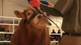 La Rhone Limousin Recap video 2021
