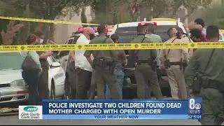 Metro investigates death of 2 children allegedly killed by their mother