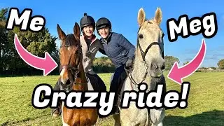 FUN & FAST HORSE RIDE WITH ELPHICK EVENT PONIES