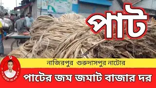 📢 ২৫ সেপ্টেম্বর ২০২৫ – পাটের বাজারে বিশাল পরিবর্তন!আজ আমরা এসেছি নাজিরপুর বাজার, 