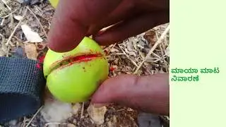 Benefits of Pratyangira Homa | பிரத்யங்கிரா ஹோமத்தின் பயன்கள் | ಪ್ರತ್ಯಂಗಿರಾ ಹೋಮದ ಪ್ರಯೋಜನಗಳು.