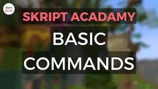 Skript Acadamy - Basic Commands