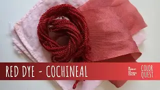 HOW TO MAKE RED DYE WITH COCHINEAL | ORGANIC COLOR | WOOL SILK COTTON | RAINBOW PALETTE