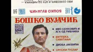 Народни гуслар Бошко Вујачић - Витешка схватања