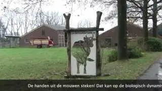 Klussen op Boerderij Schoonderbeek