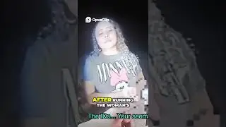 Fake IDs Found  Driver's Licenses Lead to Shocking Discovery!  #trending #shorts #fyp #youtubeshorts